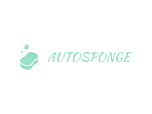 Auto Sponge